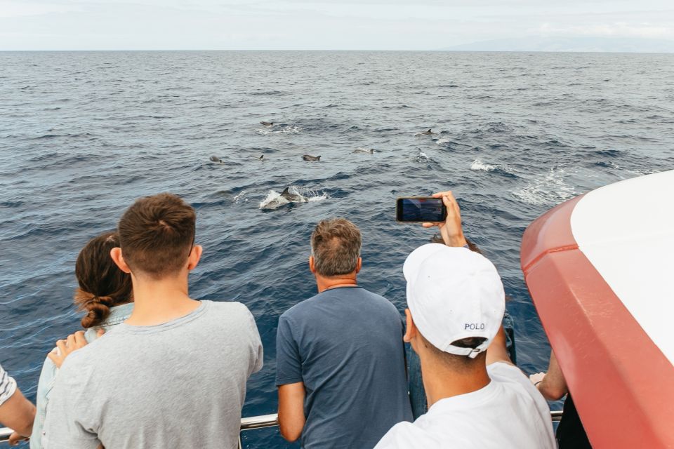  Tenerife: Whale and Dolphin Tour with Underwater Views 