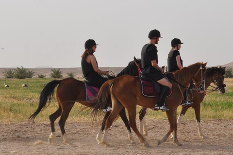 Hurghada: Camel Ride & horse ride and Off-Road Jeep Tour pickup from hotels inside hurghada