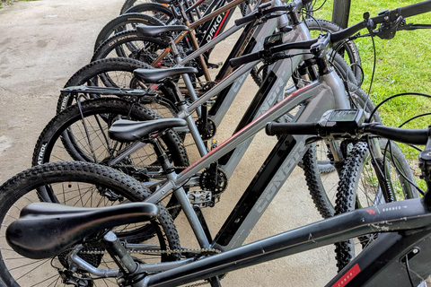 From Madrid: Small-Group Guided E-Bike Tour to El Escorial