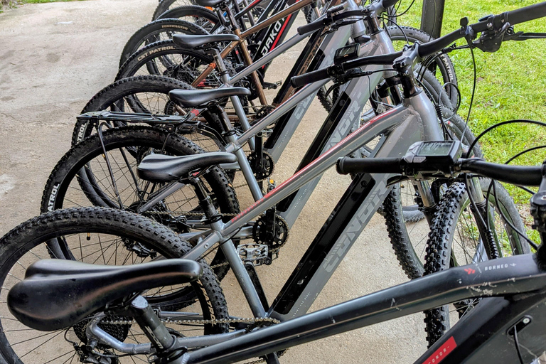 From Madrid: Small-Group Guided E-Bike Tour to El Escorial