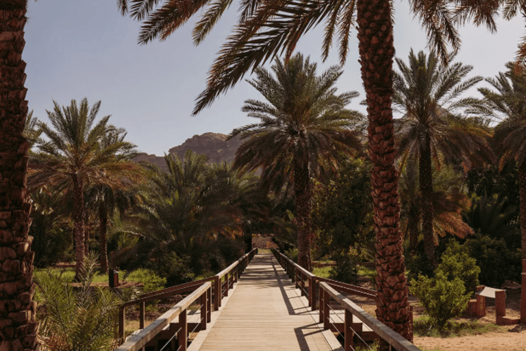 AlUla: Desert X AlUla Art Festival 2026