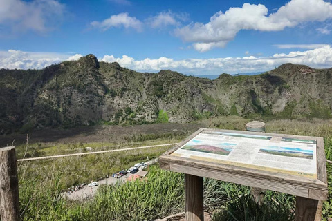 Rome: Vesuvius, Pompeii or Herculaneum by High-speed Train Pompeii Spanish Guided Tour & Vesuvio Entry ticket