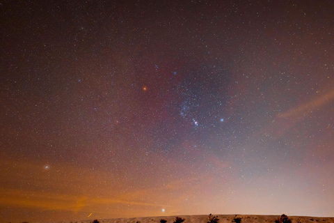 Guided Night Desert Safari in Qatar: Moonlit Dunes, Stars