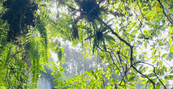 Lombok: Private Waterfalls, Village & Beach Day Trip