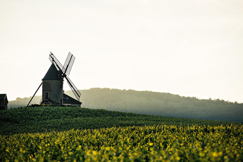 Bezoek : Van Château des Thorins naar Château du Moulin-à-Vent