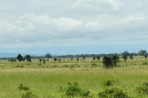 SAFARI DJURLIV FRÅN ZANZIBAR TILL MIKUMI 3 DAGAR OCH 2 NÄTTER