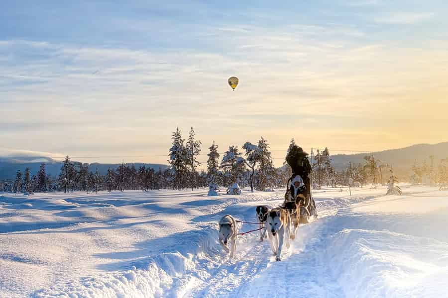 Levi: Huskyfahrt im verschneiten Wald (5 km). Foto: GetYourGuide