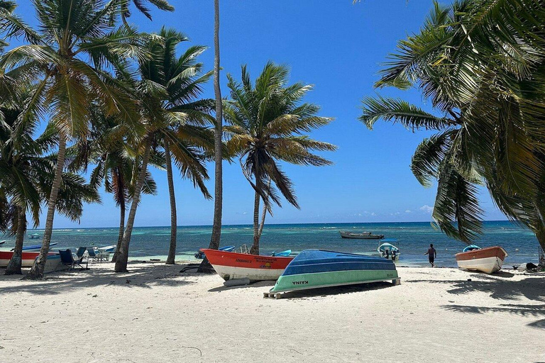 Private: Saona Island Hidden Gems Tour for Cruise Travelers