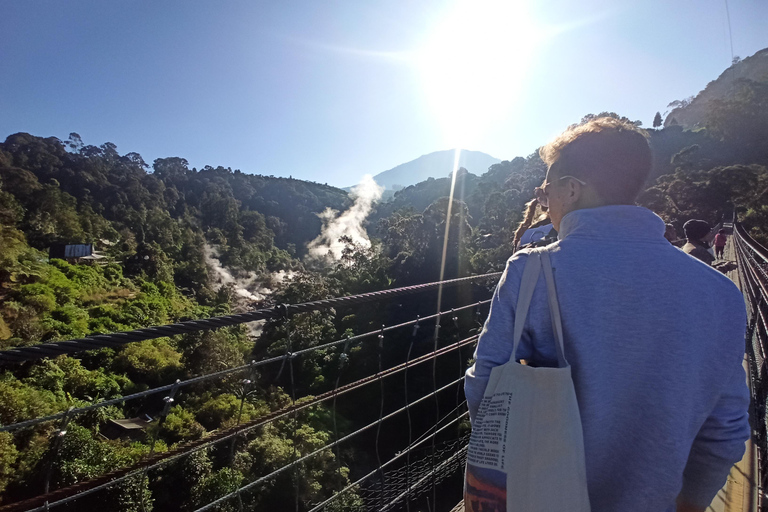 Vulcano, sorgenti calde, bagni di fango e tour del tè: tutto inclusoGiro aperto