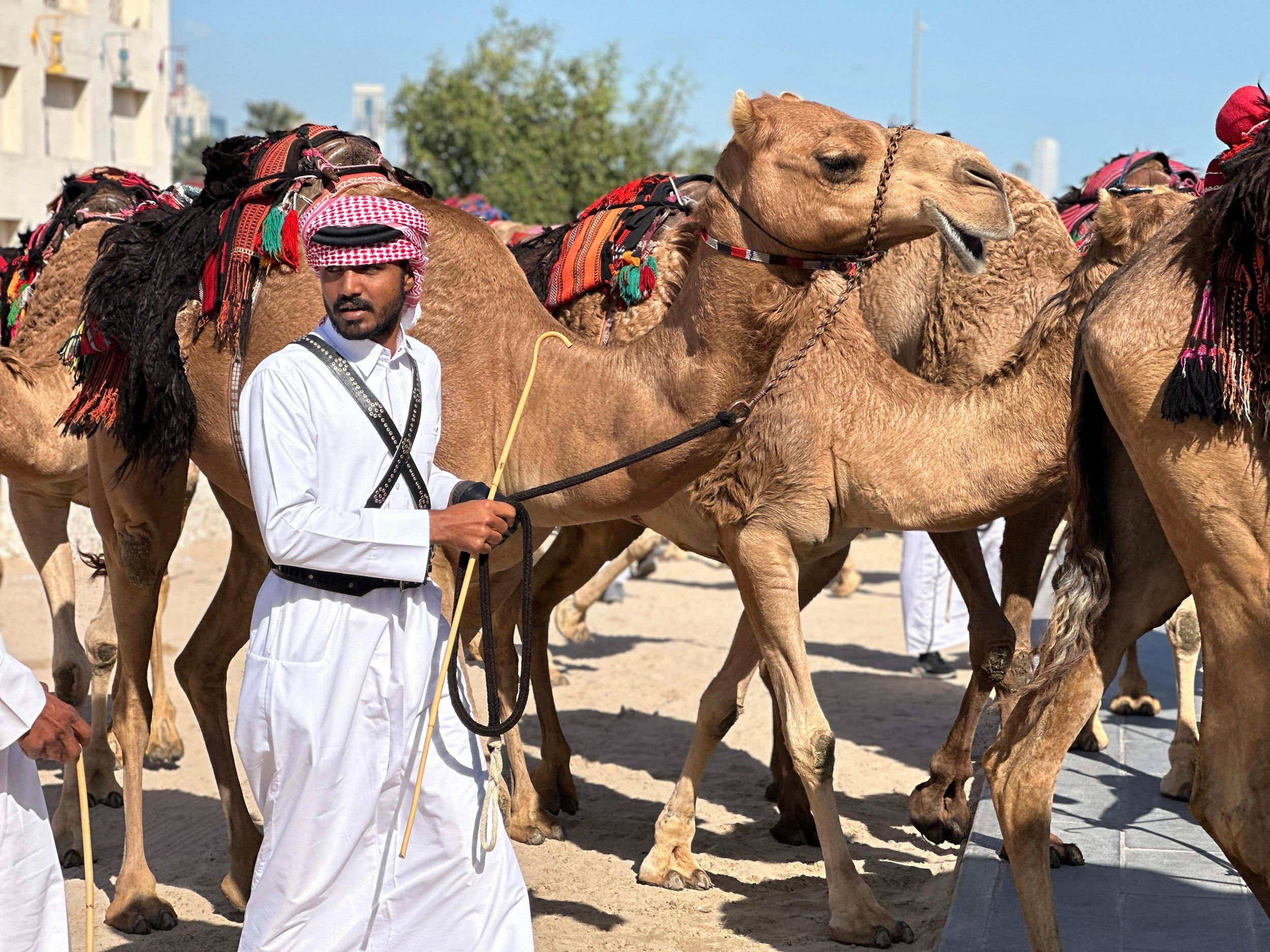 Doha: Kunst, Felsformationen und Kamelrennen in Westkatar