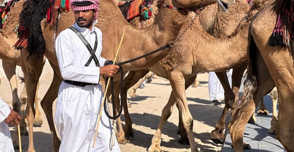 Doha: West Qatar Art, Rock Formations, and Camel Racing