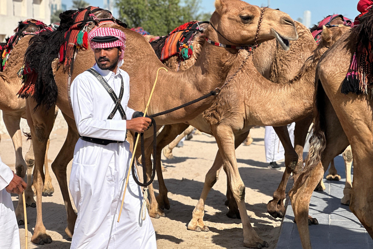 Doha: Explore the North and West of Qatar With Transfers