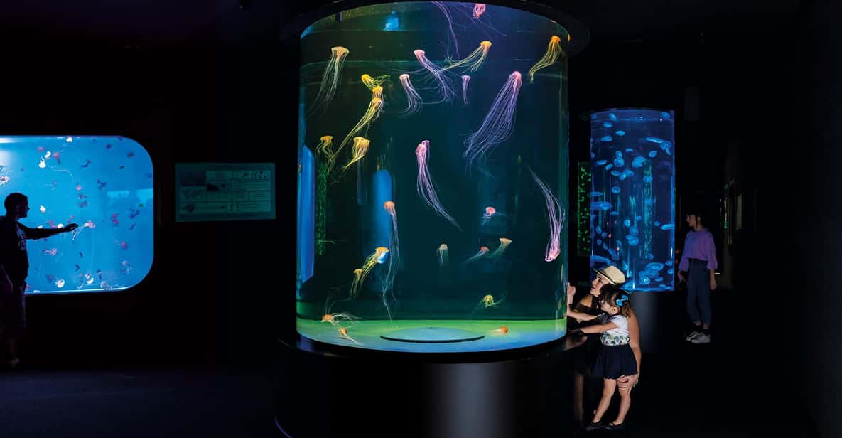 Afbeelding 18 van Tenerife: Loro Parque & Siam Park toegangsbewijs met Transfer
