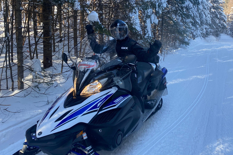 Montreal: Canadian Forest Guided Tour by Snowmobile Snowmobile for One Person