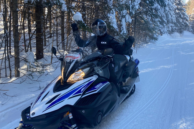 Montreal: Canadian Forest Guided Tour by Snowmobile Snowmobile for One Person