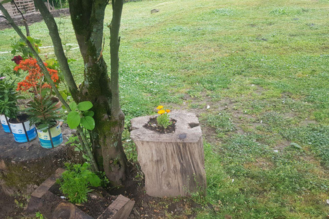 Baku: Southern Azerbaijan Hot Springs and Nature Tour 1-Day Lankaran Hot Springs Tour – Standard (No Meals)