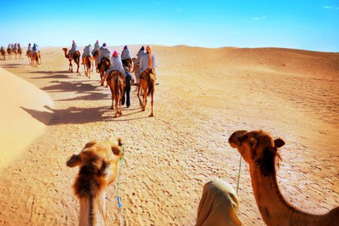 From Delhi: 15-Day Rajasthan Desert & Taj Mahal Private Tour 15-Day Private Royal Rajasthan Tour with Budget 2Star Hotels
