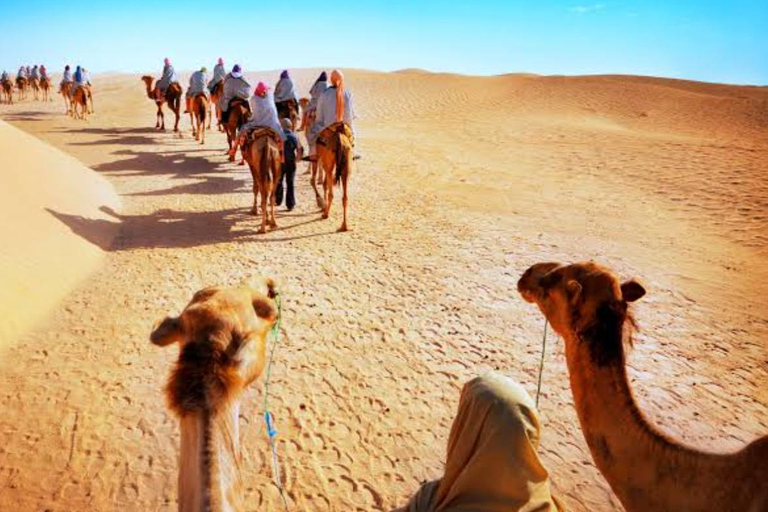 From Delhi: 15-Day Rajasthan Desert & Taj Mahal Private Tour 15-Day Private Royal Rajasthan Tour with Budget 2Star Hotels