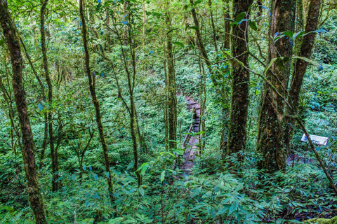 Chiang Mai : Doi Inthanon, chutes d'eau et villages tribaux