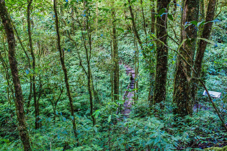 Chiang Mai : Doi Inthanon, chutes d'eau et villages tribaux