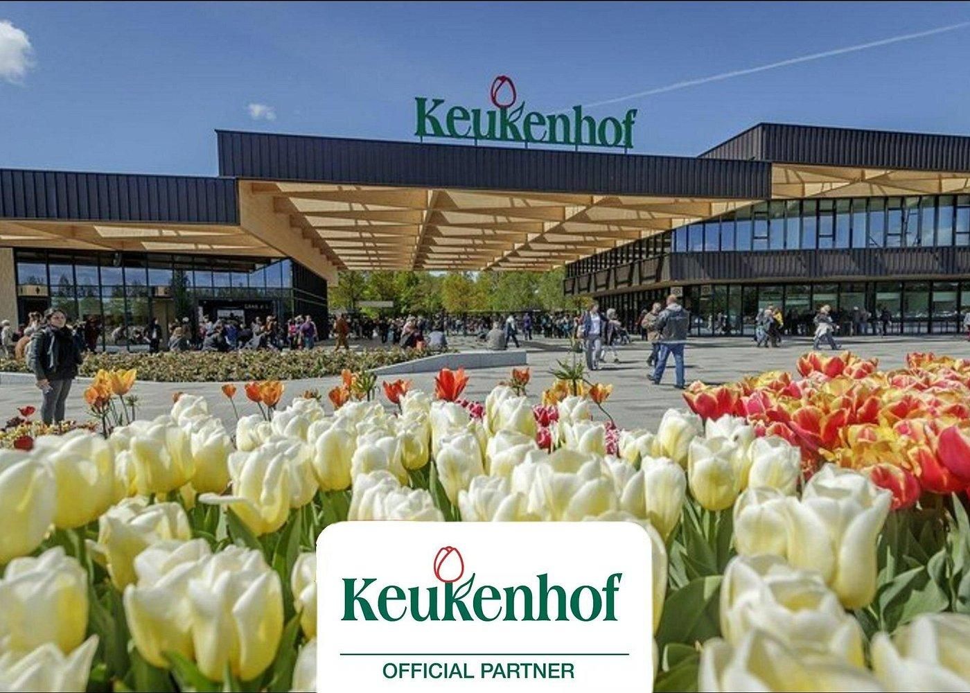 Amsterdam: Keukenhof Tulpenfelder Private Tour mit Tickets