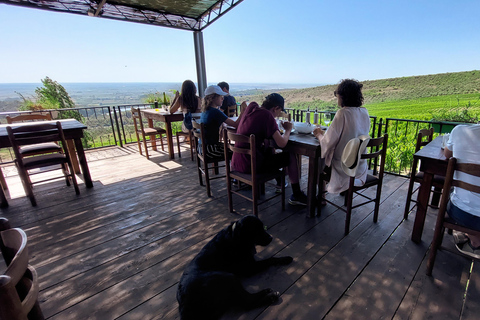 From Durres: Divjaka &amp; Karavasta Lagoon Boat Tour