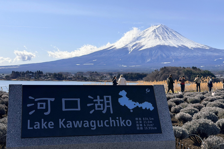 Tokyo: Private Daytrip to Mount Fuji - Fully Customizable Mt Fuji Private Luxury Van Tour (Customizable Experience)