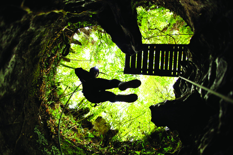 Från Auckland: Waitomo Caves Black Abyss Adventure Tour