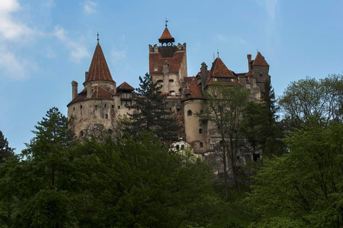 1 jour de visite des châteaux - Sinaia et Bran