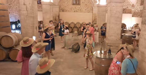 Mallorca: Bodega & Oliven Minibustour mit Wein-/Ölverkostung
