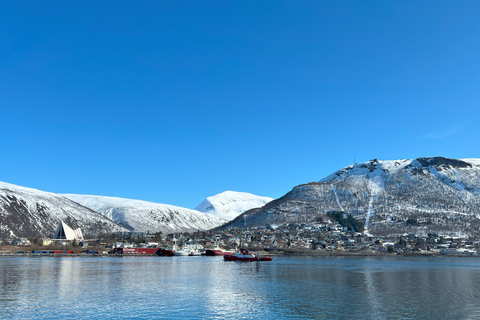 Tromsø: Discover the City & Polar Museum! Free entry! Tromsø: Guided tour of the city, including the Polar Museum!