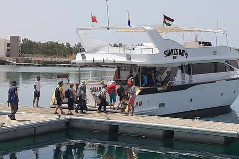 Red Sea Sun Set Cruise