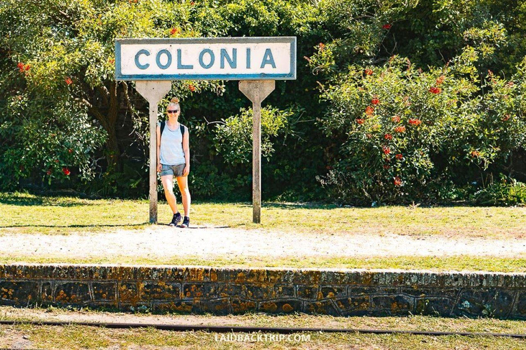 Expérience du maté uruguayen et dégustation de &quot;Martin Fierro&quot; (visite à pied)