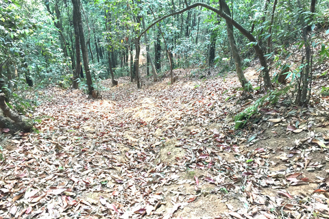 Kathmandu: 3-Day Trek from Chisapani to Nagarkot