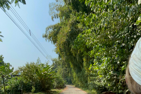 Puerto Viejo Talamanca: Quad Tour with 2 Waterfalls