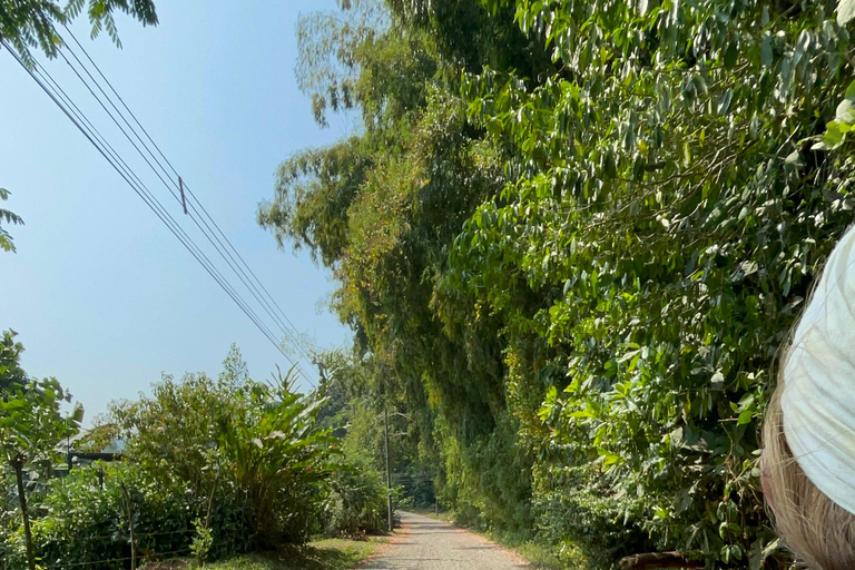 Puerto Viejo Talamanca: Quad Tour with 2 Waterfalls