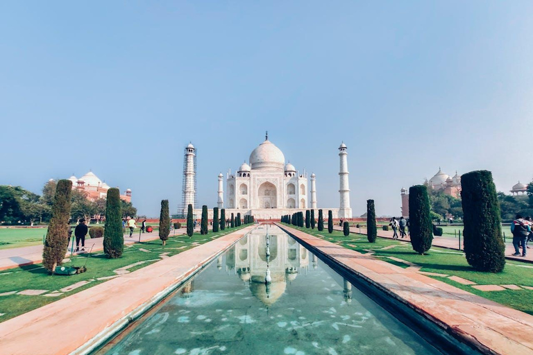 Saindo de Délhi: Passeio ao Taj Mahal ao nascer do sol e SOS Vida Selvagem com ElefantesMotorista + carro particular + guia de turismo