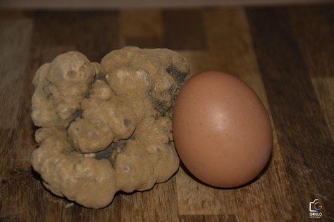 Langhe and Monferrato: Private Truffle Hunt and Wine Tasting