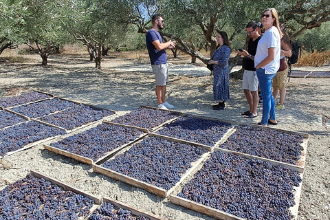 Creta: Passeio de dia inteiro pelos vinhos de Creta, azeite de oliva, raki e comidaCreta: vinho cretense de dia inteiro, azeite e excursão gastronômica