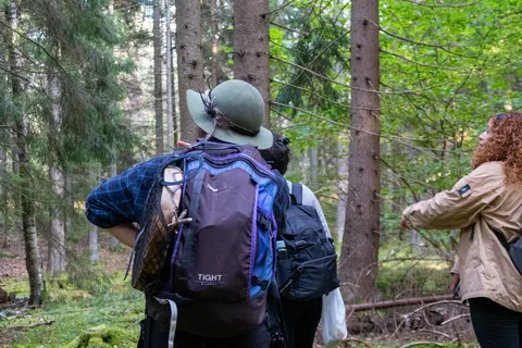 Into the wild – une expérience sensorielle dans les bois de Stockholm