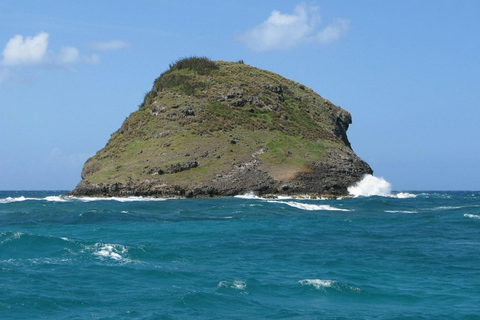 Deshaies: Guided boat tour: Coast + Snorkeling + Islets + Aperitif Deshaies: Guided Boat Tour: Coastline + Snorkeling + Islets + Aperitif