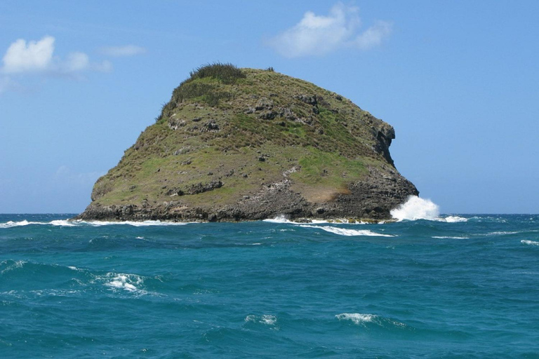 Deshaies: Guided boat tour: Coast + Snorkeling + Islets + Aperitif Deshaies: Guided Boat Tour: Coastline + Snorkeling + Islets + Aperitif