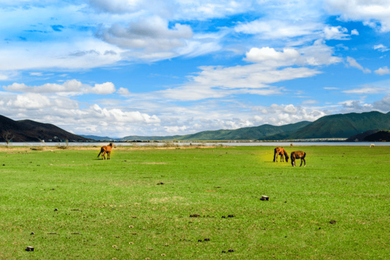 3-dniowa wycieczka po atrakcjach Dali Lijiang rozpoczyna się w Kunming