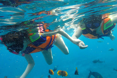 BFT Nusa Penida: Snorkeling to Manta Point &amp; Manta BayShare snorkeling group up 100 Pax