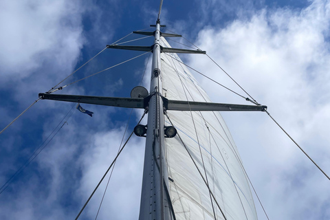 From Gothenburg: Marstrand Seafood Market Sailing Trip