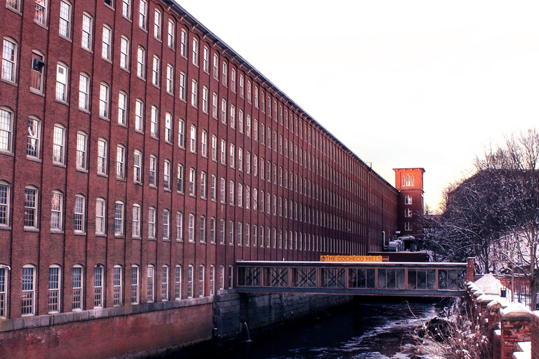 From Copenhagen: Malmö & Lund History & Culture Day Trip Seden 8hours