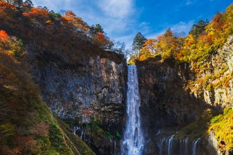 Nikko Private Sightseeing Tour with Hotel Pickup Included