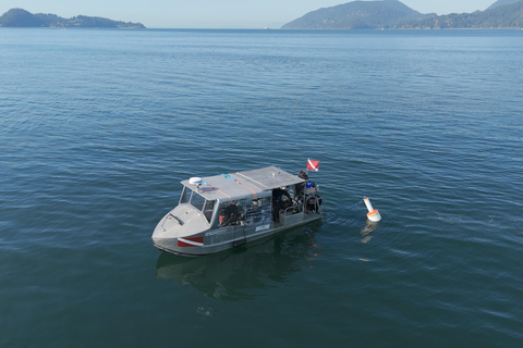 Vancouver: Howe Sound Wildlife and Scenery Boat Tour