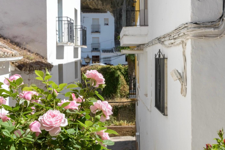 From Seville: White villages & Ronda day trip