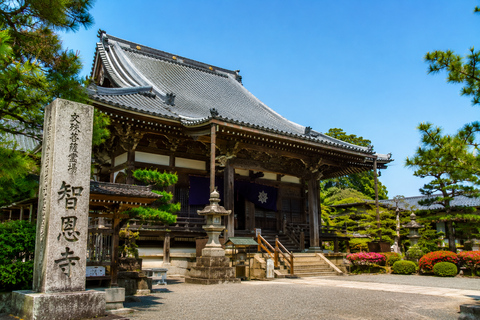 Osaka/Kyoto:Amanohashidate & Ine Day Tour with English Guide